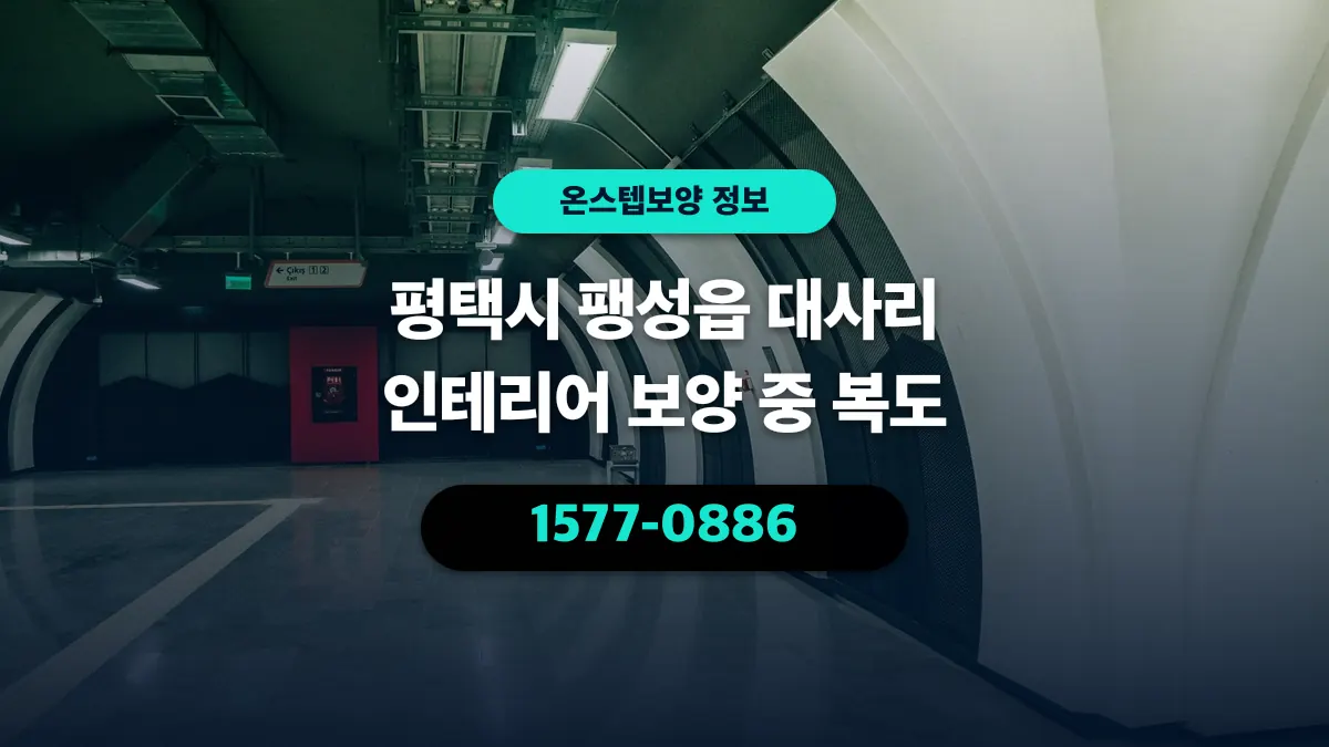 평택시 팽성읍 대사리 인테리어 보양 중 복도 - 온스텝보양