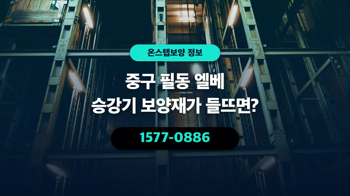 중구 필동 엘베 승강기 보양재가 들뜨면? - 온스텝보양
