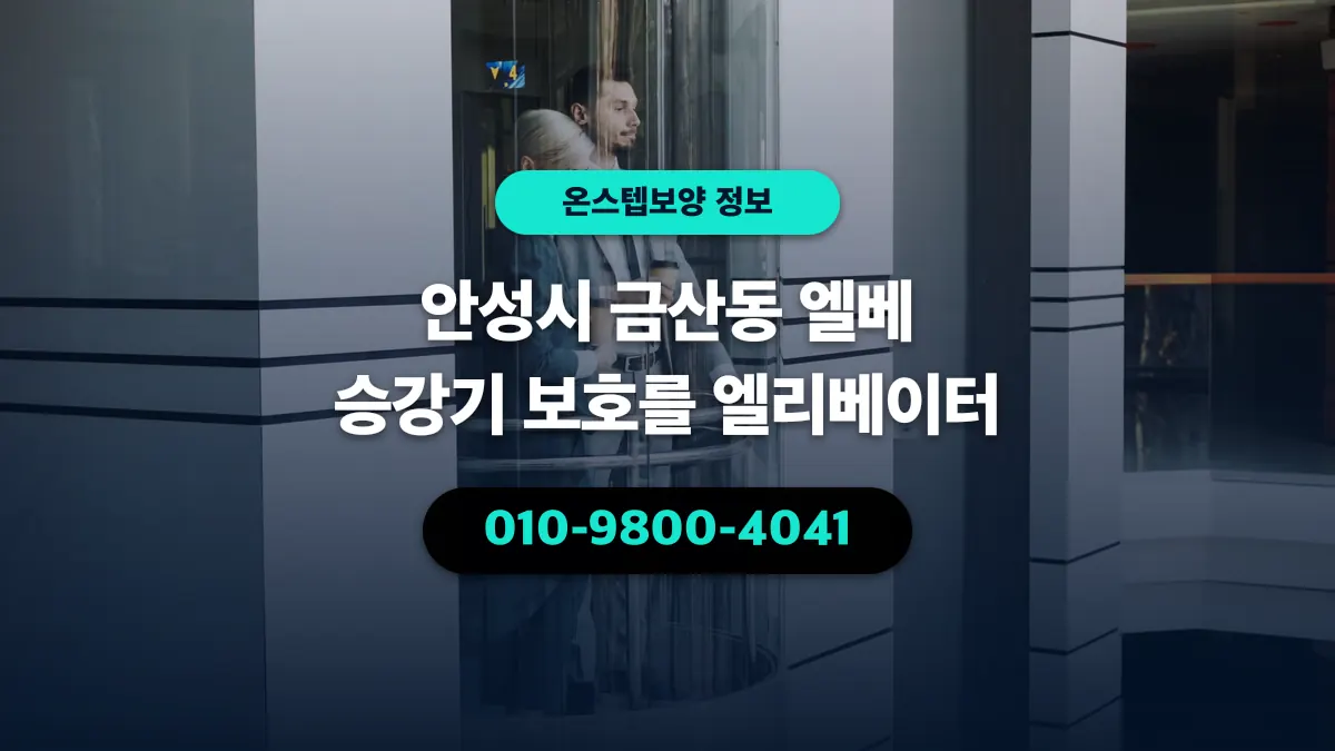 안성시 금산동 엘베 승강기 보호를 엘리베이터 - 온스텝보양