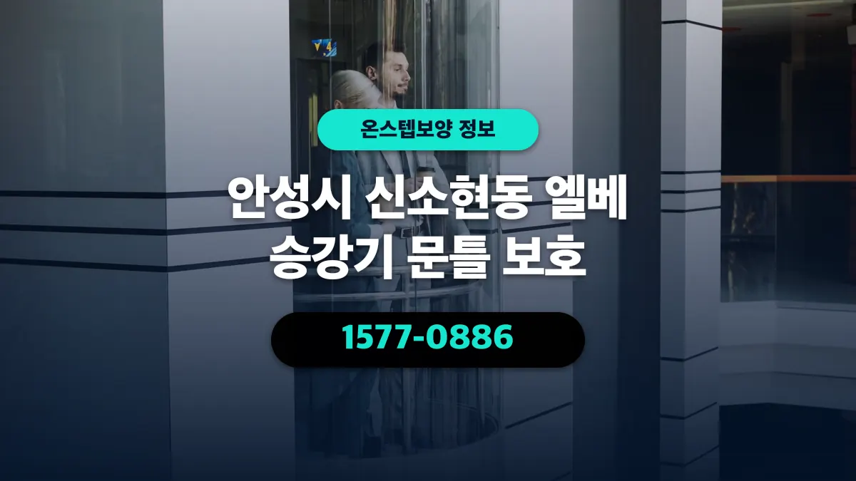 안성시 신소현동 엘베 승강기 문틀 보호 - 온스텝보양