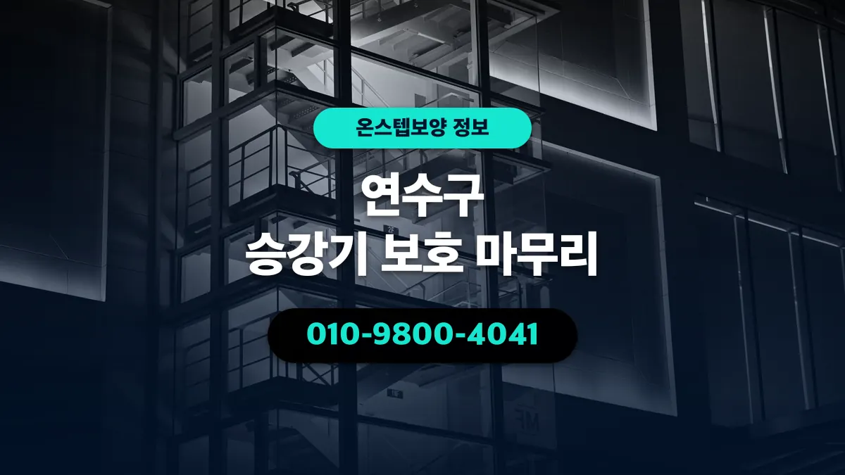 연수구 승강기 보호 마무리 - 온스텝보양