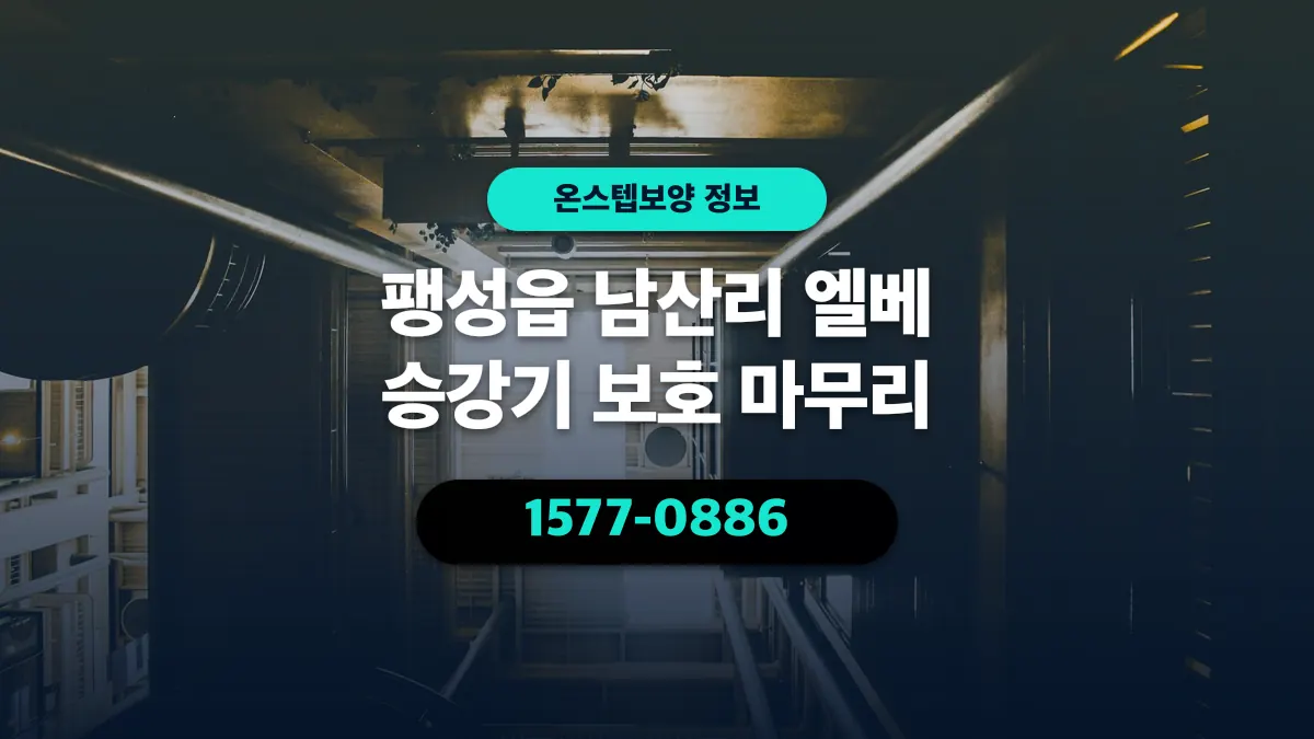팽성읍 남산리 엘베 승강기 보호 마무리 - 온스텝보양