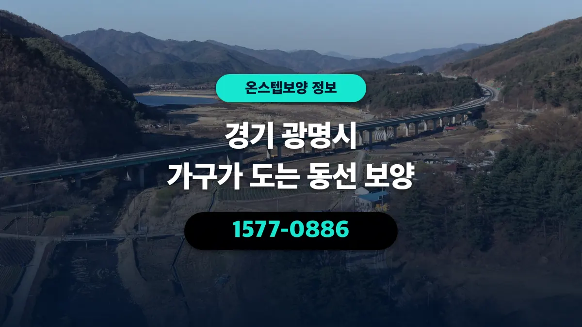 경기 광명시 가구가 도는 동선 보양 - 온스텝보양