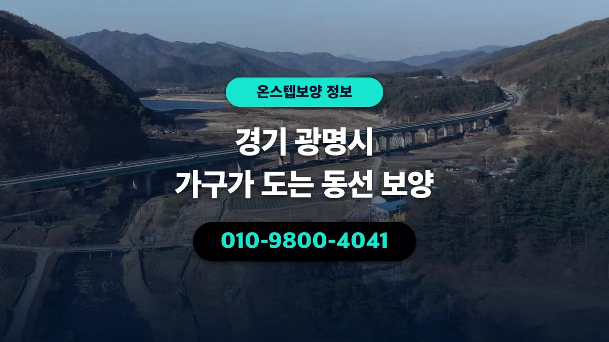 경기 광명시 가구가 도는 동선 보양 - 온스텝보양