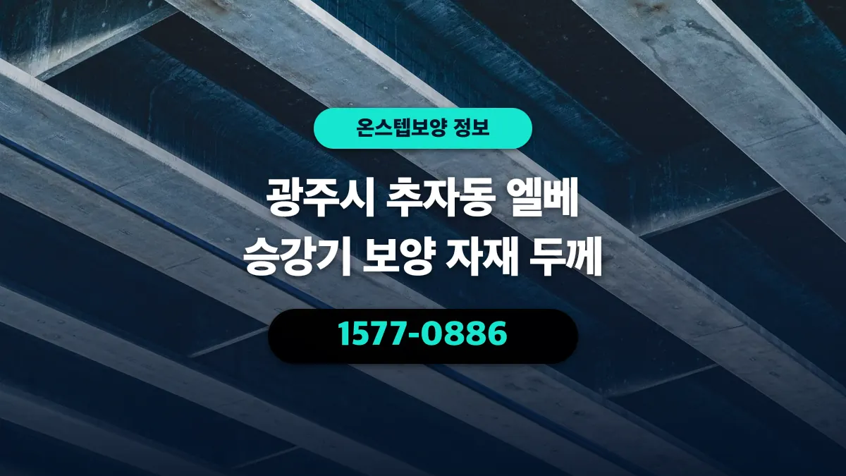 광주시 추자동 엘베 승강기 보양 자재 두께 - 온스텝보양