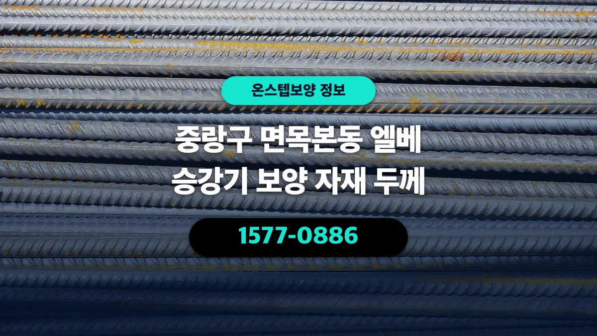 중랑구 면목본동 엘베 승강기 보양 자재 두께 - 온스텝보양