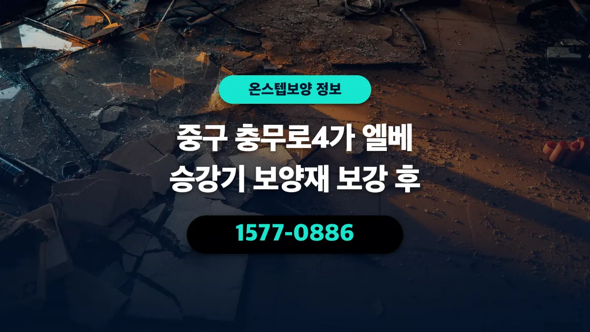 중구 충무로4가 엘베 승강기 보양재 보강 후 - 온스텝보양