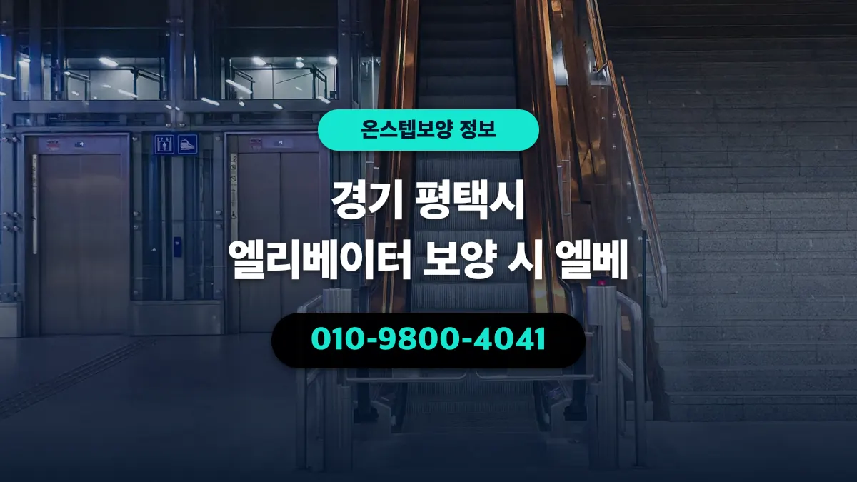 경기 평택시 엘리베이터 보양 시 엘베 - 온스텝보양