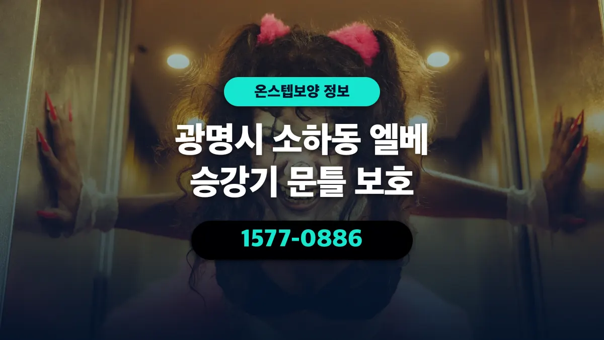 광명시 소하동 엘베 승강기 문틀 보호 - 온스텝보양