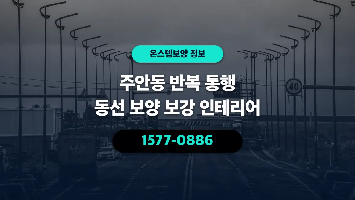 주안동 반복 통행 동선 보양 보강 인테리어 - 온스텝보양