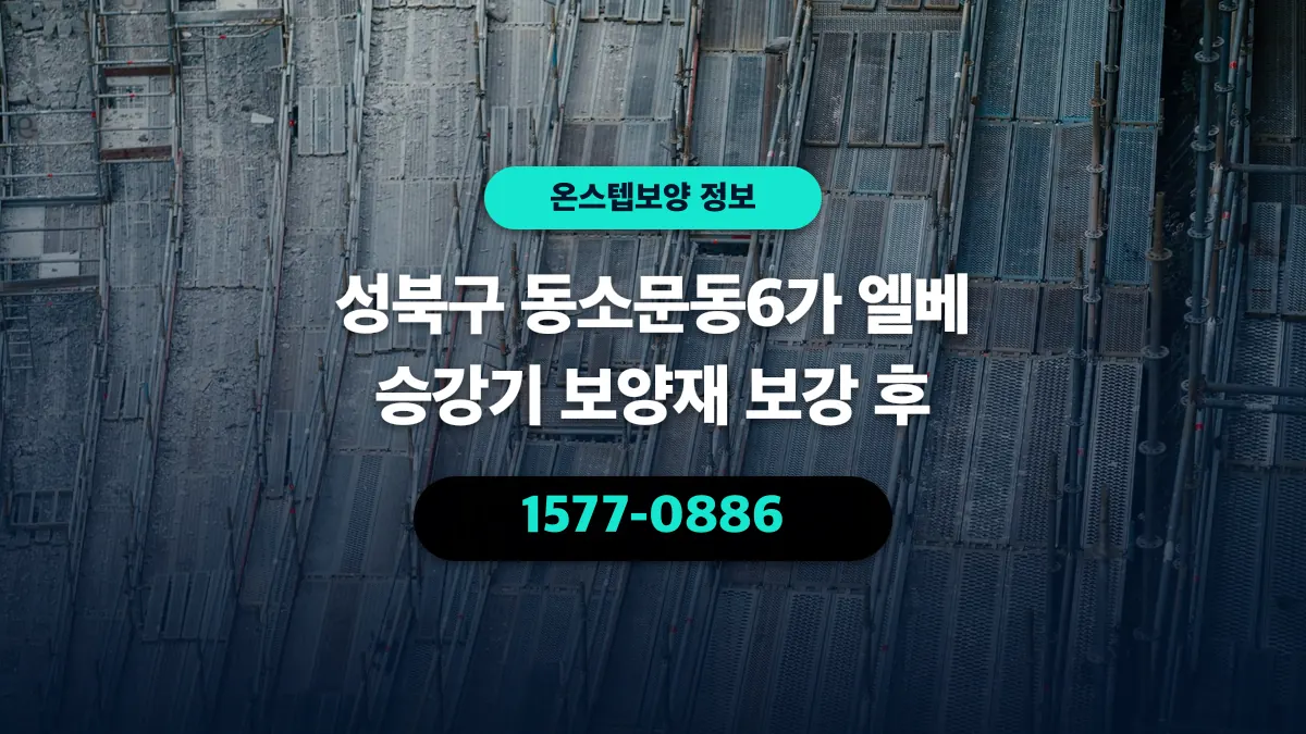 성북구 동소문동6가 엘베 승강기 보양재 보강 후 - 온스텝보양