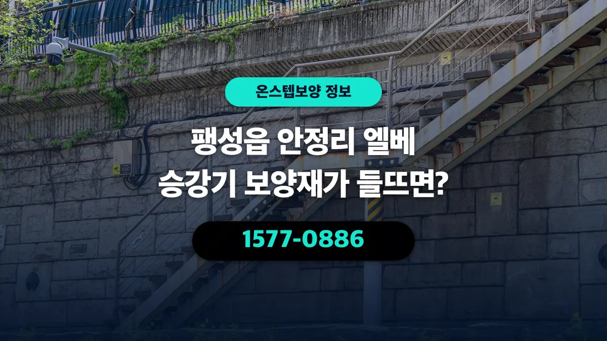 팽성읍 안정리 엘베 승강기 보양재가 들뜨면? - 온스텝보양