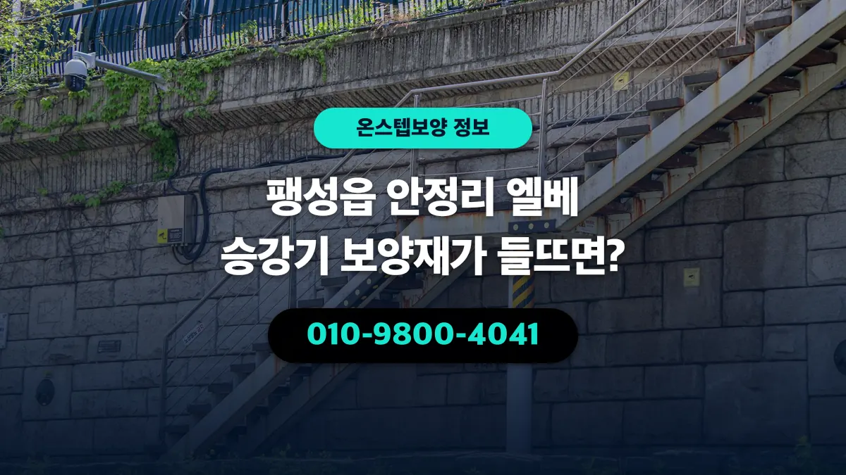 팽성읍 안정리 엘베 승강기 보양재가 들뜨면? - 온스텝보양