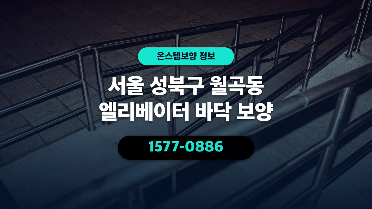 서울 성북구 월곡동 엘리베이터 바닥 보양 - 온스텝보양