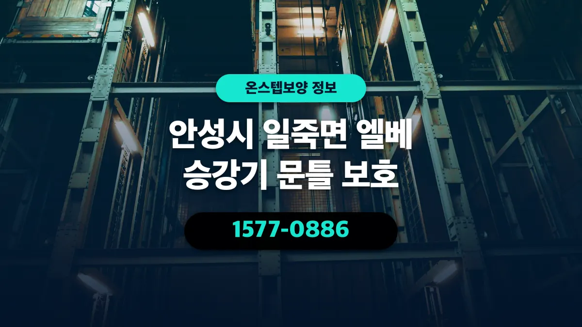 안성시 일죽면 엘베 승강기 문틀 보호 - 온스텝보양