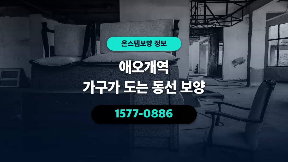 애오개역 가구가 도는 동선 보양 - 온스텝보양