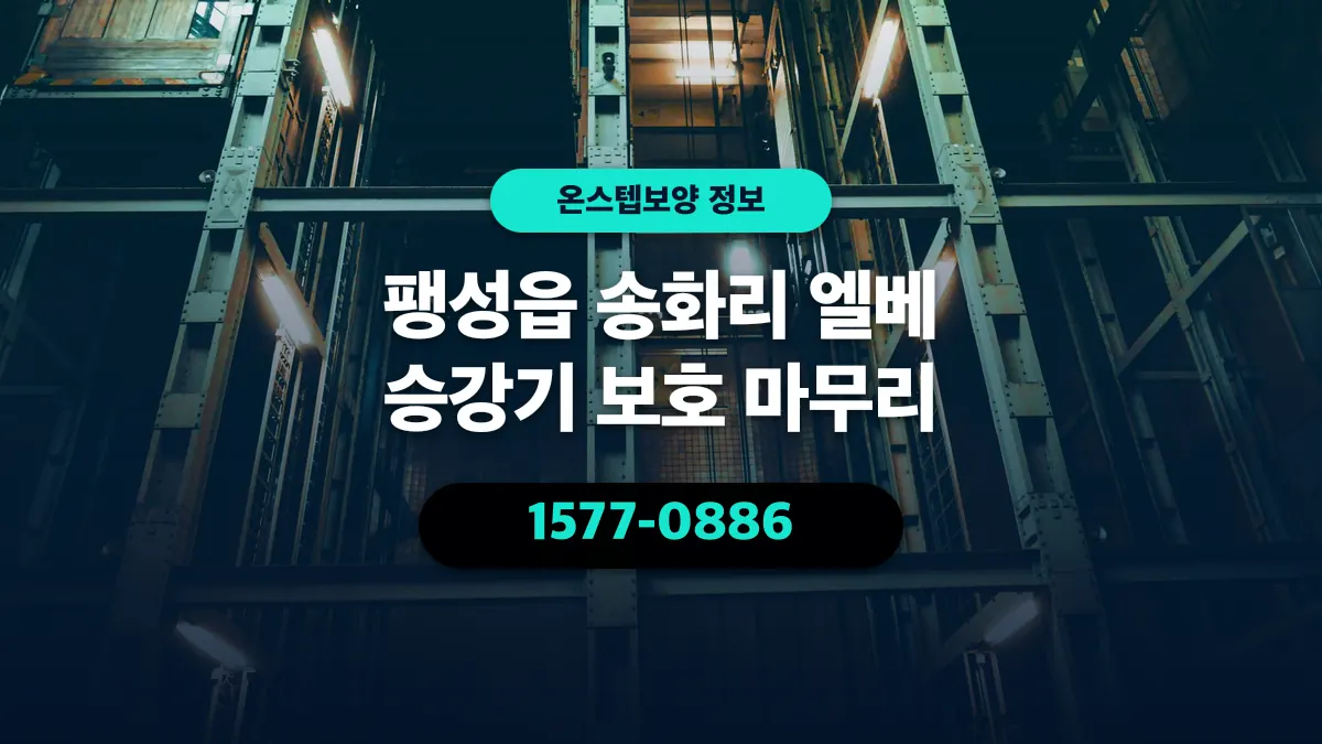 팽성읍 송화리 엘베 승강기 보호 마무리 - 온스텝보양