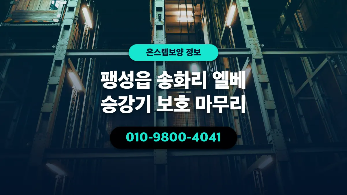팽성읍 송화리 엘베 승강기 보호 마무리 - 온스텝보양