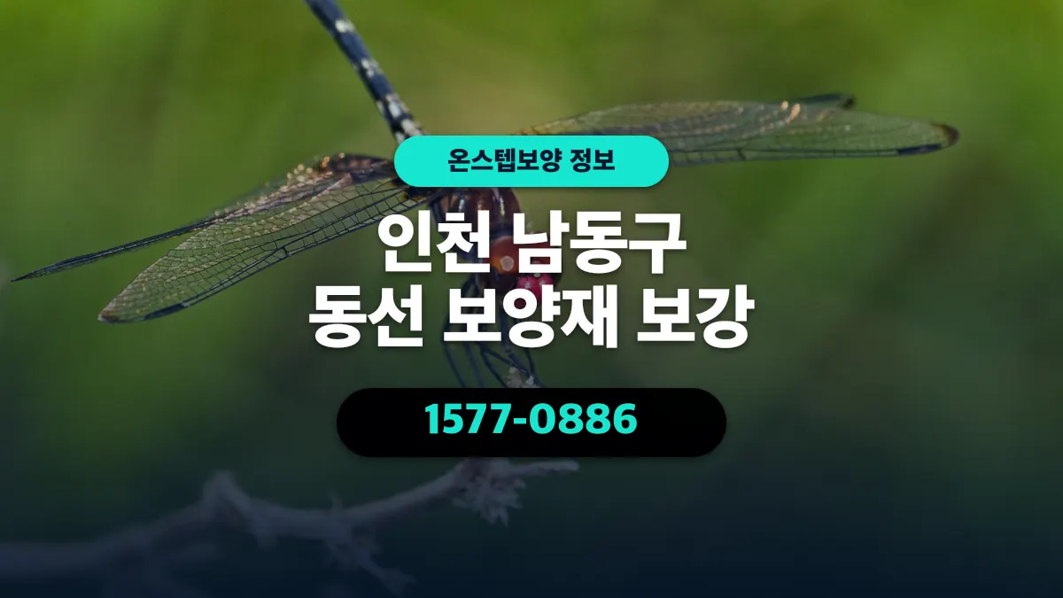 인천 남동구 동선 보양재 보강 - 온스텝보양