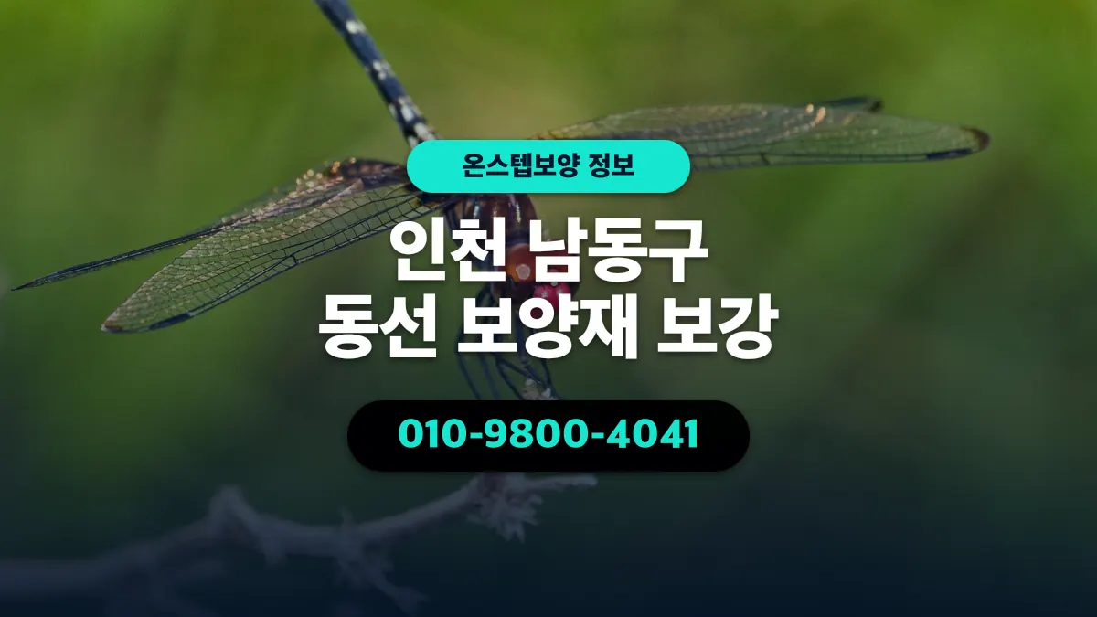 인천 남동구 동선 보양재 보강 - 온스텝보양
