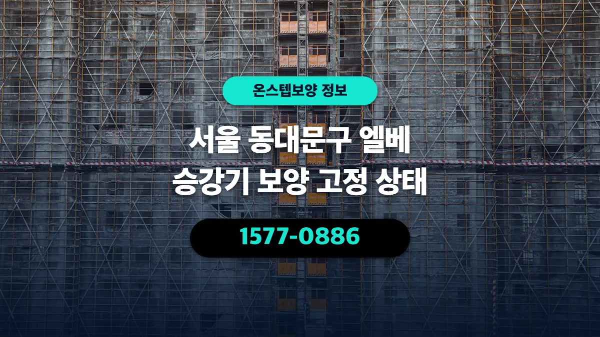 서울 동대문구 엘베 승강기 보양 고정 상태 - 온스텝보양
