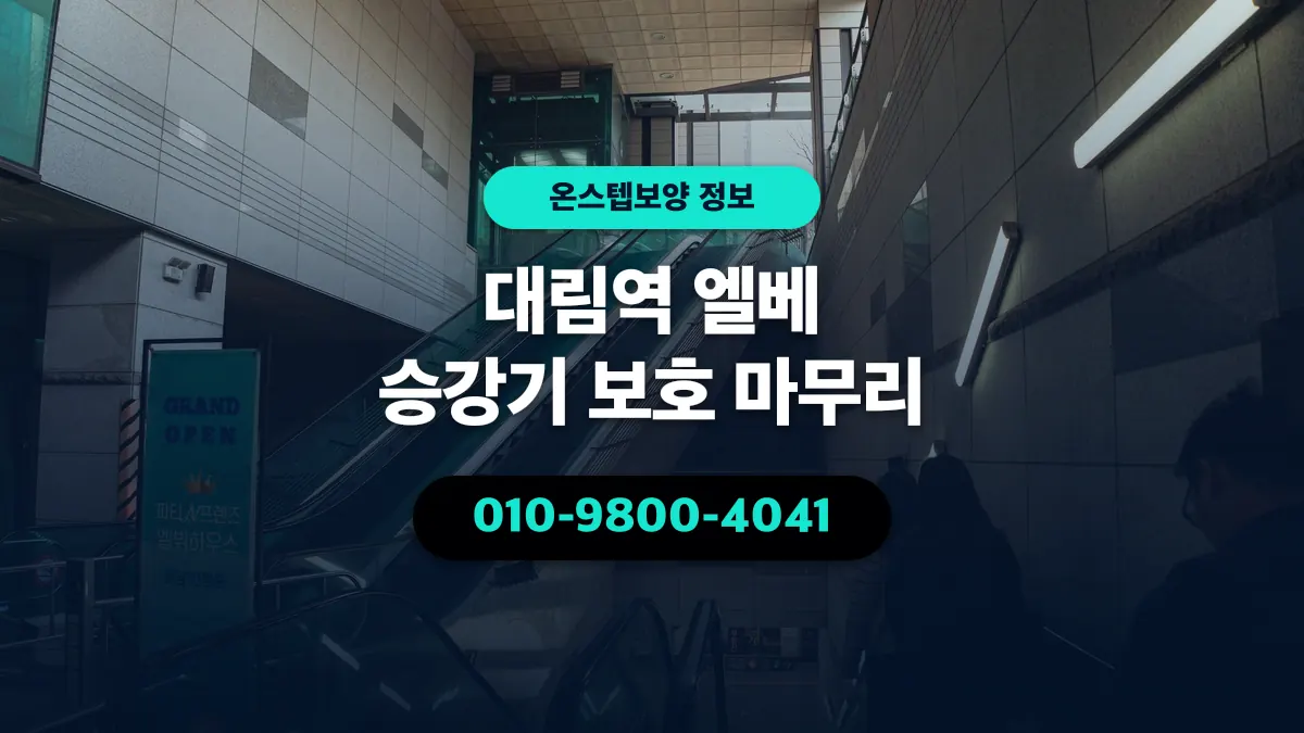 대림역 엘베 승강기 보호 마무리 - 온스텝보양