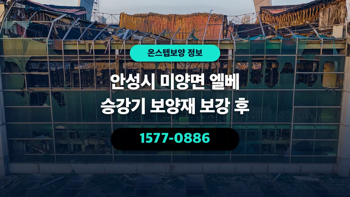 안성시 미양면 엘베 승강기 보양재 보강 후 - 온스텝보양