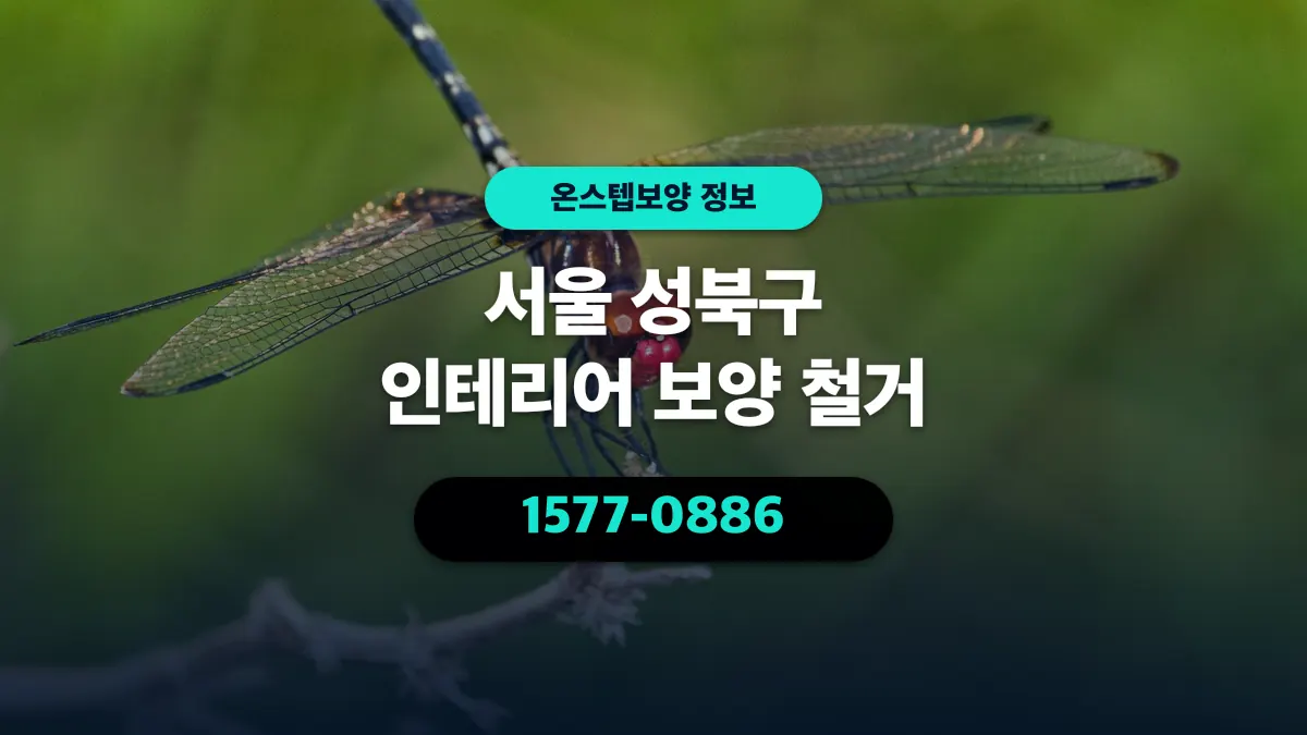 서울 성북구 인테리어 보양 철거 - 온스텝보양