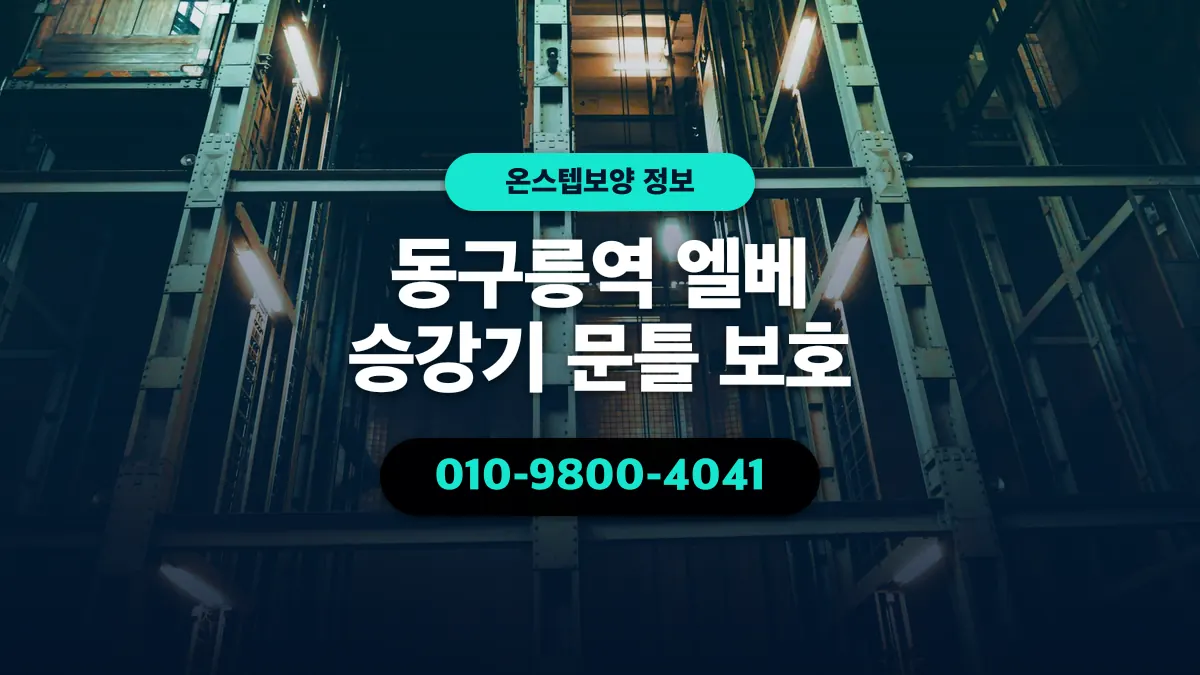 동구릉역 엘베 승강기 문틀 보호 - 온스텝보양