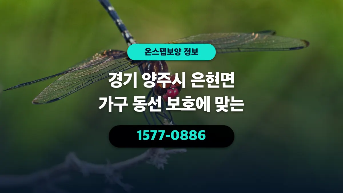 경기 양주시 은현면 가구 동선 보호에 맞는 - 온스텝보양