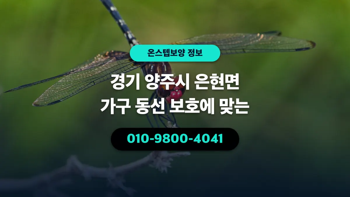 경기 양주시 은현면 가구 동선 보호에 맞는 - 온스텝보양