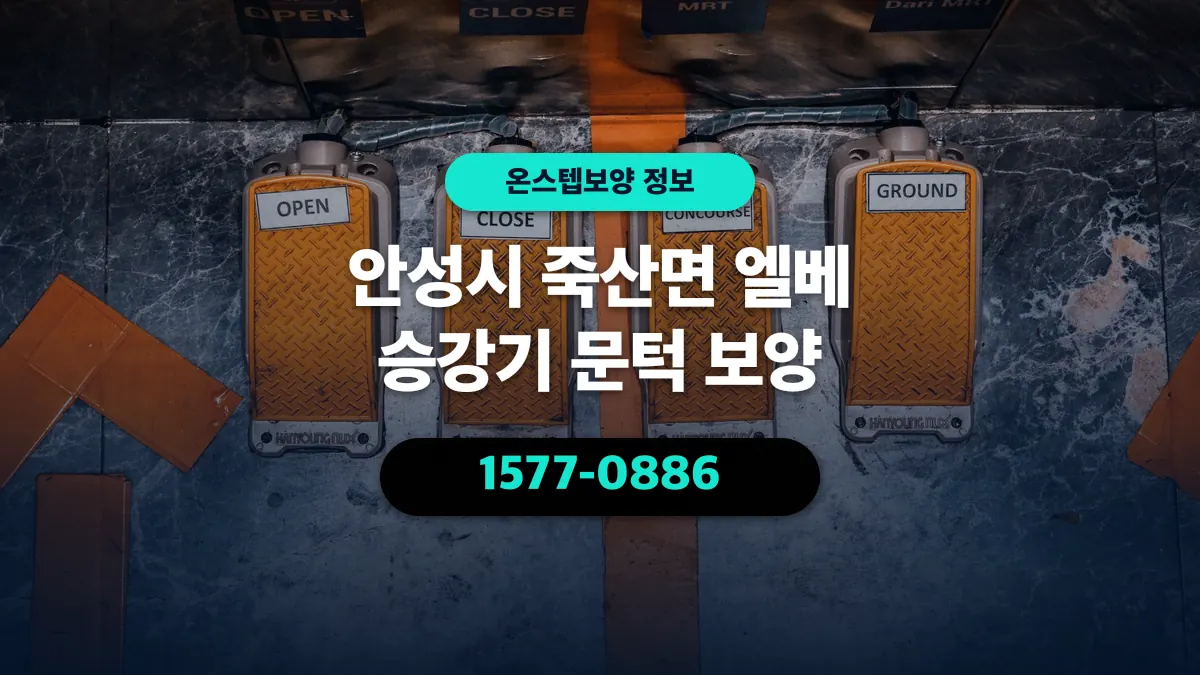 안성시 죽산면 엘베 승강기 문턱 보양 - 온스텝보양
