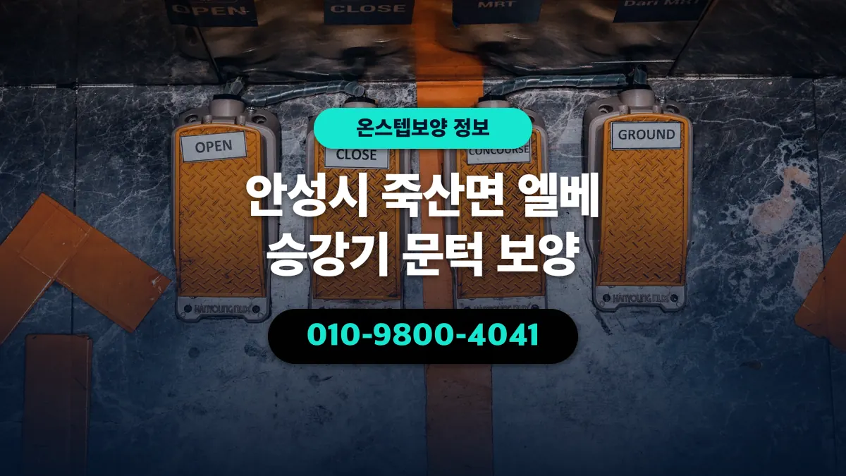 안성시 죽산면 엘베 승강기 문턱 보양 - 온스텝보양