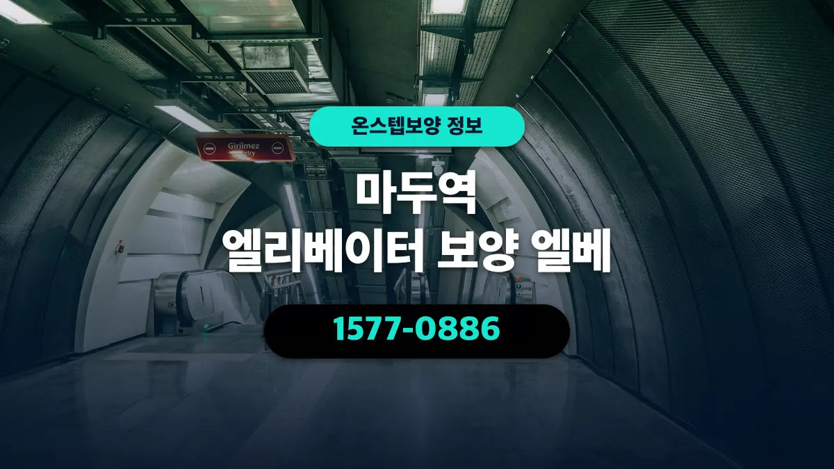 마두역 엘리베이터 보양 엘베 - 온스텝보양