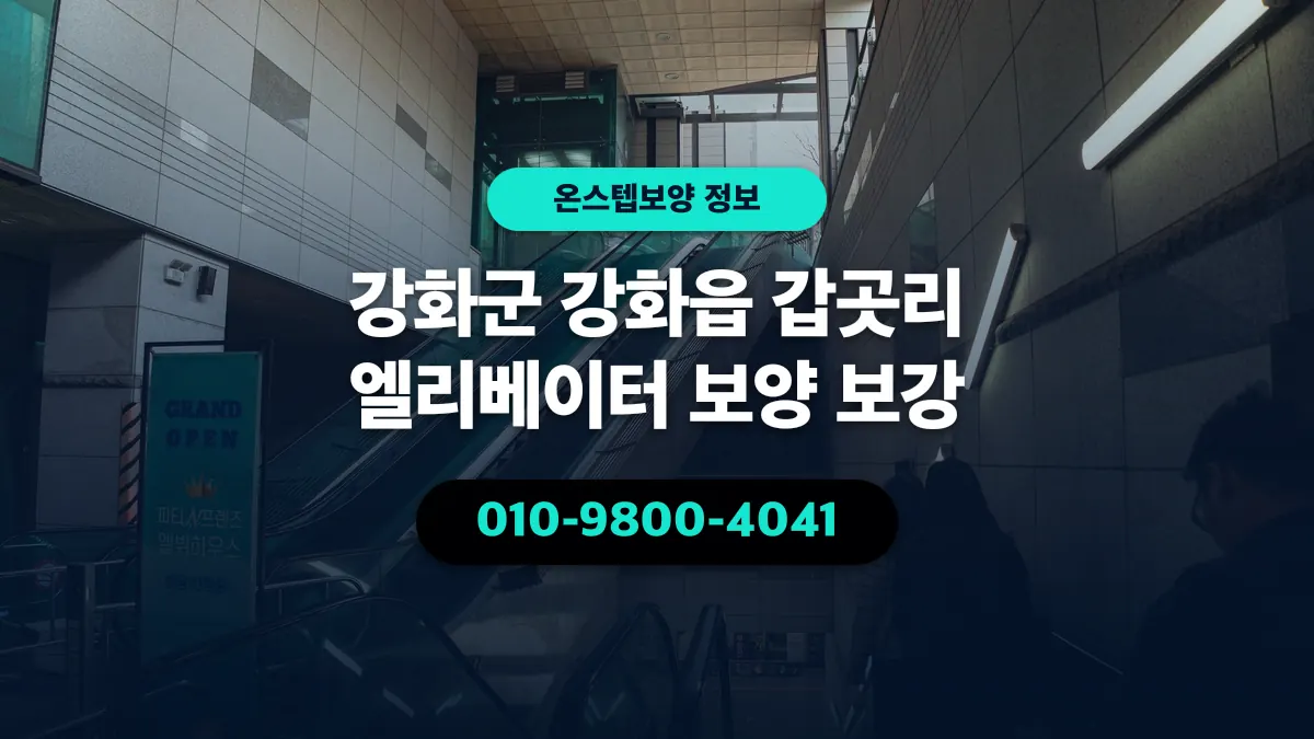 강화군 강화읍 갑곳리 엘리베이터 보양 보강 - 온스텝보양