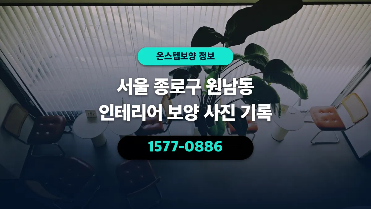 서울 종로구 원남동 인테리어 보양 사진 기록 - 온스텝보양