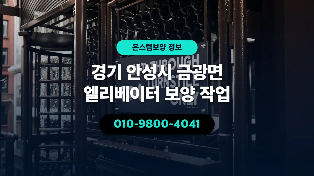경기 안성시 금광면 엘리베이터 보양 작업 - 온스텝보양
