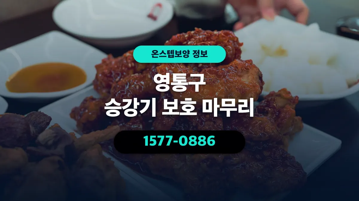 영통구 승강기 보호 마무리 - 온스텝보양