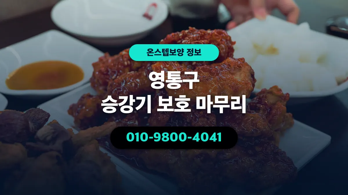 영통구 승강기 보호 마무리 - 온스텝보양