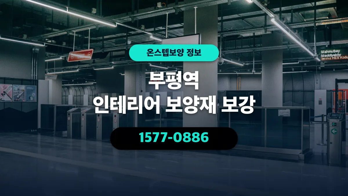 부평역 인테리어 보양재 보강 - 온스텝보양