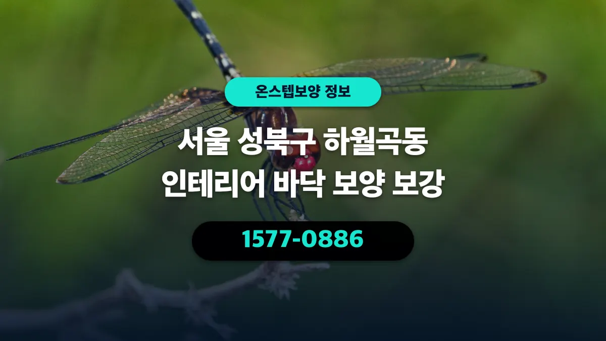 서울 성북구 하월곡동 인테리어 바닥 보양 보강 - 온스텝보양