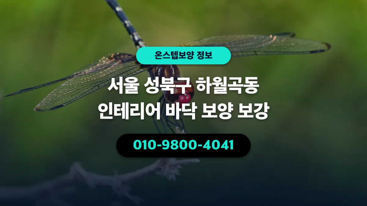 서울 성북구 하월곡동 인테리어 바닥 보양 보강 - 온스텝보양