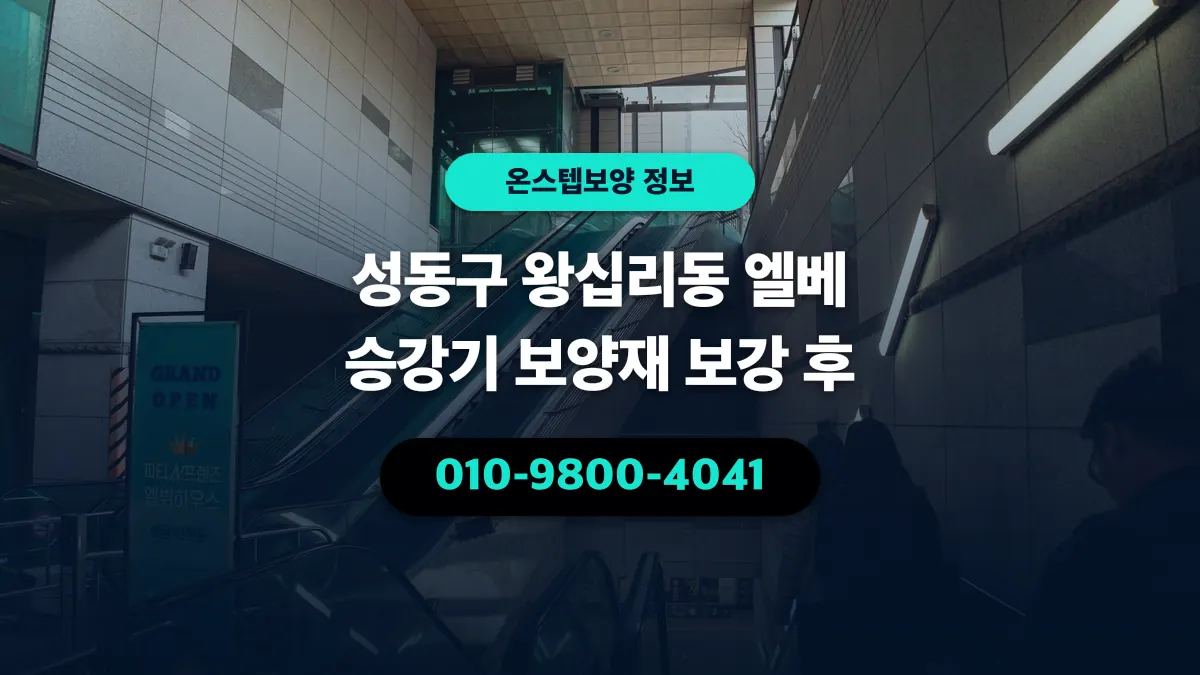 성동구 왕십리동 엘베 승강기 보양재 보강 후 - 온스텝보양