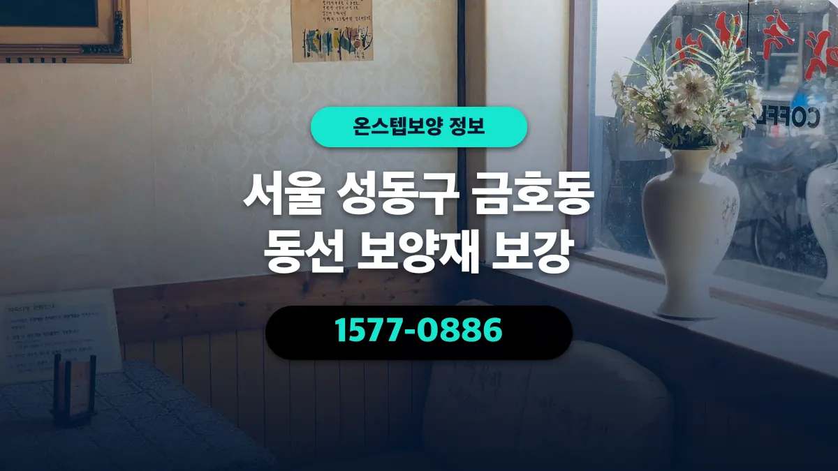서울 성동구 금호동 동선 보양재 보강 - 온스텝보양
