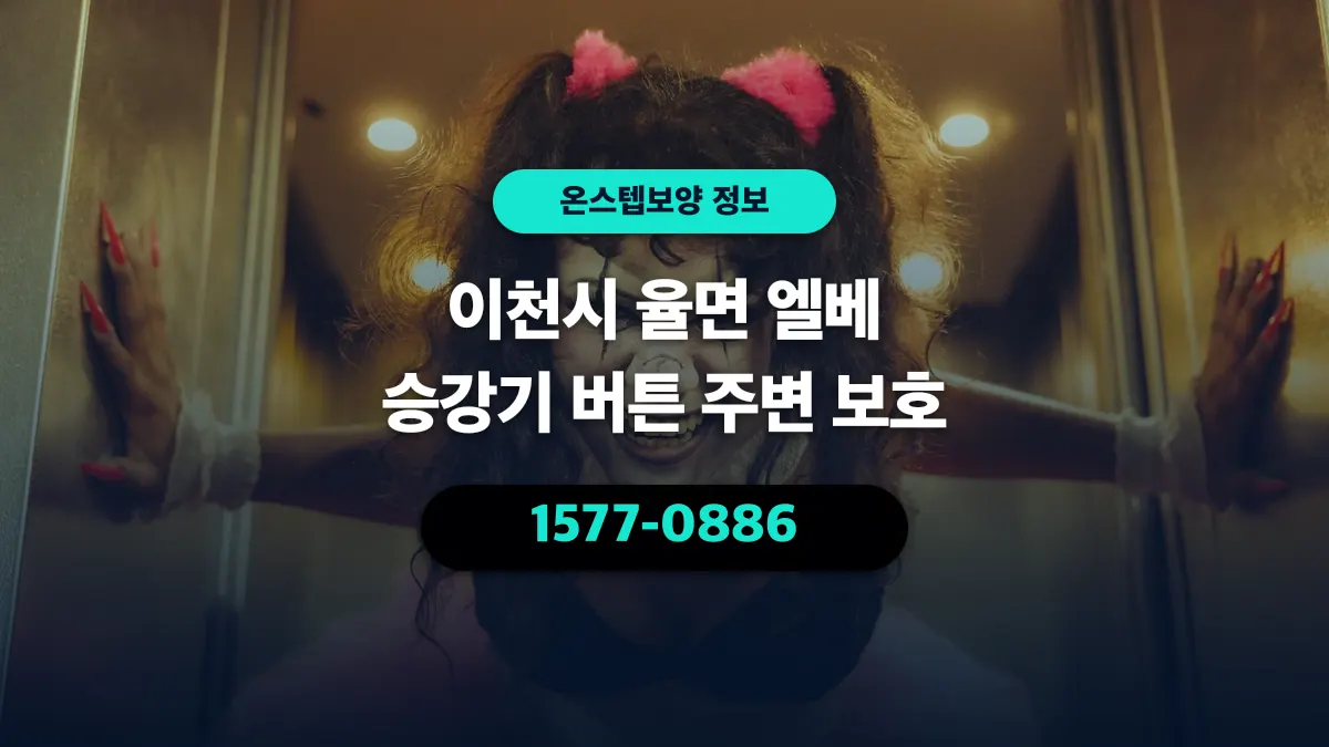 이천시 율면 엘베 승강기 버튼 주변 보호 - 온스텝보양