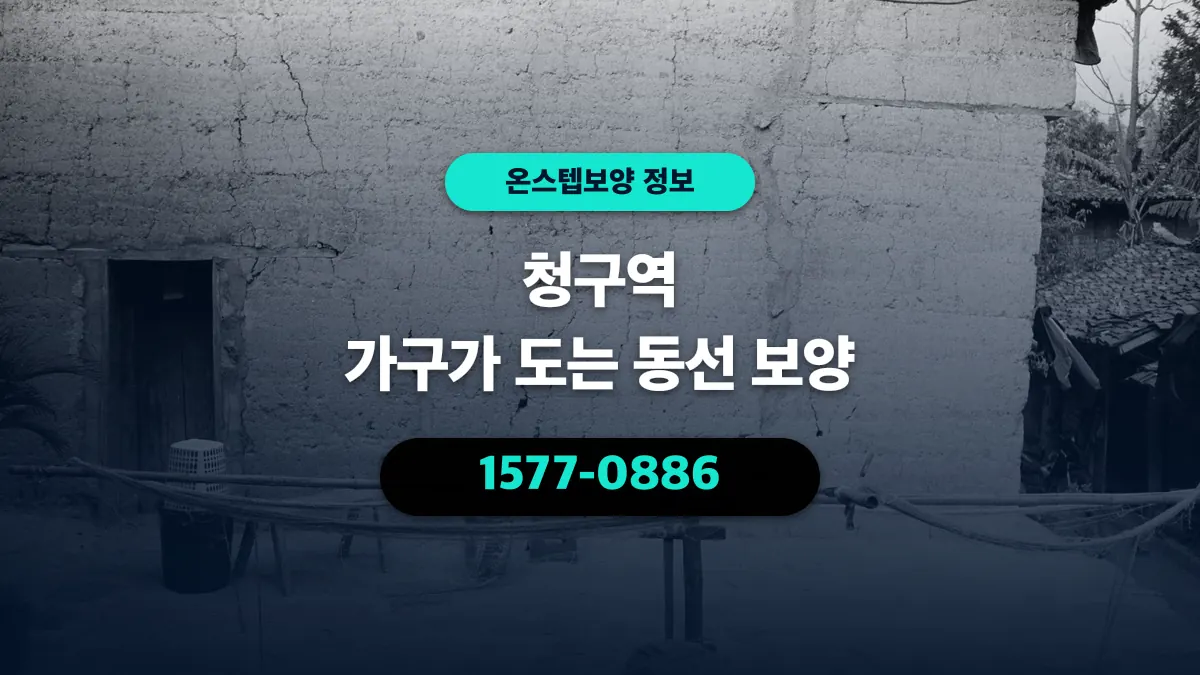 청구역 가구가 도는 동선 보양 - 온스텝보양