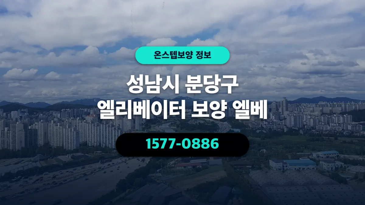 성남시 분당구 엘리베이터 보양 엘베 - 온스텝보양