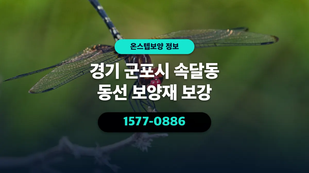 경기 군포시 속달동 동선 보양재 보강 - 온스텝보양