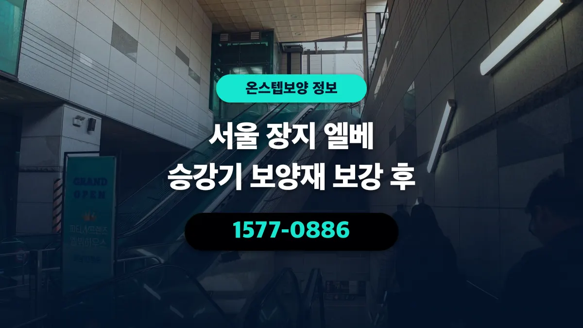 서울 장지 엘베 승강기 보양재 보강 후 - 온스텝보양