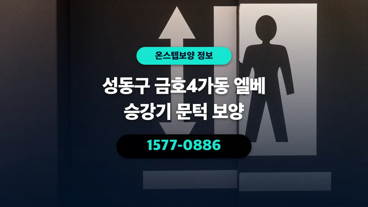 성동구 금호4가동 엘베 승강기 문턱 보양 - 온스텝보양